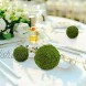 18 Pack Decorative Faux Dried Moss Balls- 6pcs 3.1 Artificial Green Plant Mossy Globes+ 12pcs 2.2 Handmade Sphere Moss Hanging Balls for Home Garden Decors Party Wedding Display Supplies Photo Props