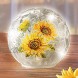 Collections Etc LED Lighted Sunflowers Crackled Glass Balls | Bright Cheerful Sunflowers |Sparkling Glitter Crystal Accents | Frosted Glass | Mantel Shelf Tabletop | Glass | Small Large