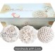 Home Décor White Handmade Seashell Orbs Balls Set of 3 – Coffee Table Mantle Décor Centerpiece Bowl with Spheres House Decorations Natural Decorative Accents for Living Room or Dining Table