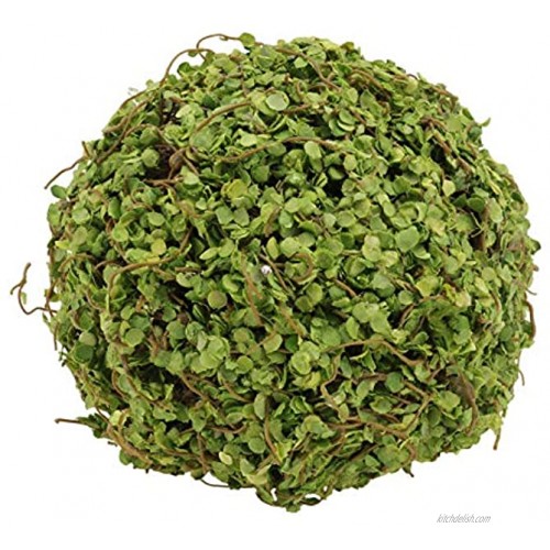 IMIKEYA Moss Ball Natural Decorative Green Globes Hanging Balls Vase Bowl Filler Art Flower Ornament for Home Party Weddings Display Decor Props 8cm