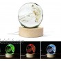 Yao Yuan Glass Jellyfish Hand Blown Figurine Paperweight Glass Ornament with Colorful LED Display Stand for Home Office Birthday Gift