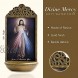 Christian Brands Divine Mercy 6 Holy Water Font