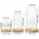 3 Pcs  Set Clear Glass Dome Cloche with Rustic Wood Base Battery Operated LED Fairy Light Antique Display Case for Rose Flowers Home Or Office Tabletop Decoration Valentine's Day Wedding Centerpiece