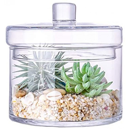 Apothecary Glass Food Storage Jars with Lid Decorative Wedding Centerpiece Storage Containers for Kitchen or Bathroom Height: 6.5 Body: 6.5