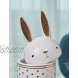 HAUCOZE Cookie Jar Candy Dish Decorative Jar Ceramic Rabbit Canister Storage for Home Kitchen Birthday Gifts Arts 20cmH