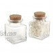 Kate Aspen Square Glass Favor Jar with Cork Stopper Petite Treat 12 Count