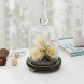 MyGift Clear Glass Cloche Dome Jar Display Centerpiece with Heart Handle & Gray Wood Base