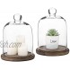 MyGift Clear Glass Jar Cloche Dome Display Case with Brown Wood Base Set of 2