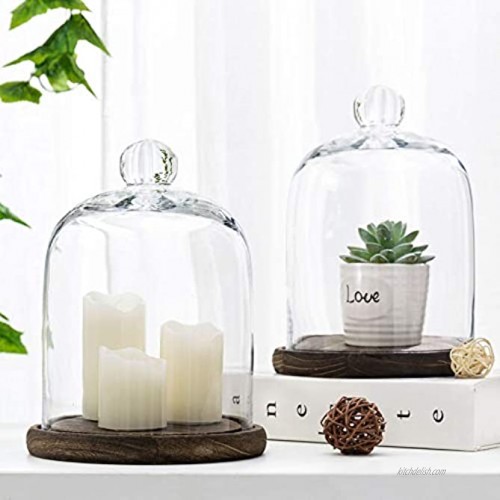 MyGift Clear Glass Jar Cloche Dome Display Case with Brown Wood Base Set of 2