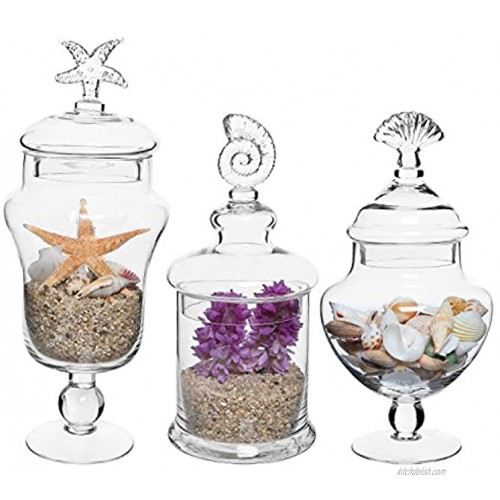Set of 3 Seashell Handle Clear Glass Apothecary Jars Food Storage Canisters Decorative Centerpieces