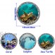 Under The Sea Nature Scenery Ocean Animals World Includ Sea Turtles Dolphins Coral 3 Pcs Removable 3D Wall Decals Peel and Stick Vinyl Stickers for Bathroom and Bedroom Furniture,Home Decor
