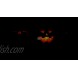 AtmosFX Jack-O'-Lantern Jamboree Digital Decorations DVD for Halloween Holiday Projection Decorating