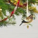 Hallmark Keepsake Christmas Ornament 2021 The Beauty of Birds Evening Grosbeak