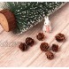 Ira Pollitt 300 Pieces Mini Natural Pine Cones Christmas Natural Pine Cones Ornaments Thanksgiving Pinecones Ornaments for DIY Crafts,Home Decoration Fall and Christmas