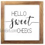 YINUOWEI Hello Sweet Cheeks Sign- Funny Farmhouse Wall Decor Sign Cute Guest Bathroom Wall Art Rustic Home Decor Modern Farmhouse Sign for Bathroom Wall with Funny Quotes 12x12 Inch
