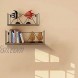 EdenseeLake 2 Pack Floating Shelves Wall Mounted Storage Shelf with Metal Wire for Bedroom Bathroom Living Room Kitchen and Office