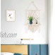Macrame Wall Hanging Shelves,Macrame Shelf Boho Shelf,Macrame Wall Decor,Boho Wall Decor for Bedroom,Bathroom,Living Room Flower