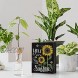 cocomong Sunflower Yellow Kitchen Bathroom Wall Decor Black Box Sign You are My Sunshine Bedroom Restroom Dining Living Room Home Office Shelf Desk Table Decor Fall Christmas Cute Aesthetic Art Gift