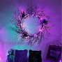 Adroiteet Halloween 24 Inch Black Spider Artificial Wreath with Purple Lights Spooky Front Door Decorations for Indoor Outdoor Holiday Party