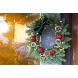 Again Products Large Big 2 Pack 14.25 Inch Wire Wreath Frame Wire Wreath Making Rings Green for New Year Valentines Christmas Decoration