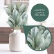 Faux Lambs Ear Stems [Pack of 12 14 Length] Fake Lambs Ear Greenery to Create Flower Arrangements for Weddings Parties Wreath Making Home Décor. Artificial Flowers and Leaves for Authentic Style