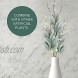 Faux Lambs Ear Stems [Pack of 12 14 Length] Fake Lambs Ear Greenery to Create Flower Arrangements for Weddings Parties Wreath Making Home Décor. Artificial Flowers and Leaves for Authentic Style