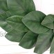 Idyllic Flora Wreath Artificial Magnolia Leaf Grapevine Wreath 17 Inches for Wedding Wall Decoration