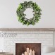 Ivalue Artificial Eucalyptus Wreath Green Leaf Wreath with White Berries Spring Greenery Wreath for Front Door Wall Window Wedding Party Decor Eucalyptus Leaves +White Berries 20 inches