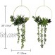 Tuokorgreen Set of 2 Artificial Succulent Hanging Plants Decor Wedding Wreath with Drooping Leaves Bamboo Floral Hoop Garland for Backdrop Nursery Wall Decoration
