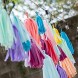 35Pcs Rainbow Tassel Garland Tissue Paper Tassel Banner Decoration for Wedding Baby Shower,Birthday Group Activities and Games