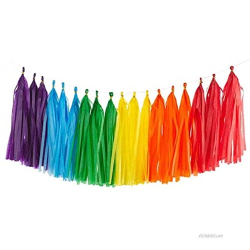AimtoHome Rainbow Shiny Tassel Garland Tissue Colorful Paper Tassel Banner Tassels Party Decorations Supplies Pack of 30 Red Orange Yellow Green Blue Purple