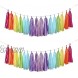 Autupy 35 PCS Rainbow Tissue Paper Tassel DIY Party Garland Decor for All Events & OccasionsUnicorn Pastel