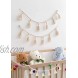 Cotton Tassel Garland Pastel Banner 2 Pack Colorful Party Backdrop Decorative Wall Hangings Llama Decorations for Bedroom,Nursery Dorm Room,Birthday,Baby Shower Girls Boho Home Decor Gift Ivory