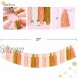 DrCor Pink Rose Gold Tassel Garland with Wood Bead Colorful Rainbow Garland for Nursery Girls Bedroom Wall Classroom Room Birthday Party Baby Shower Decor