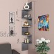 Nova Furniture Group 5 Tiers Floating Wall Mount Corner Shelf Home Decor Display Shelves