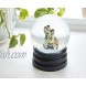 Avatar: The Last Airbender 6-Inch Snow Globe Display Piece Decoration | Chibi Avatar Aang Katara Sokka Momo and Sky Bison Appa | Official Nickelodeon Collectible | Anime Toys Novelty Gifts