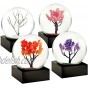 CoolSnowGlobes Four Seasons Winter Spring Summer Autumn Set of Four Mini Cool Snow Globes