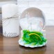 Elanze Designs Majestic Unicorn and Dragon 100MM Musical Water Globe Plays Tune You are My Sunshine