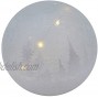 Frosted LED Wonderland Winter White 6 x 6 Crackle Glass Holiday Snow Globe
