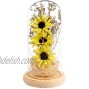 OSALADI Flower Night Light Sunflower with Fariy Lights in Glass Dome Snow Globe Table Light Dried Flower Table Centerpiece Gift for Christmas Student Girls Birthday Bedroom