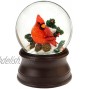 The San Francisco Music Box Company Hand Crafted Cardinal Snow Globe from