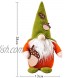 Alipher Fall Gnome Plush Autumn Gnome Swedish Faceless Doll Decoration Autumn Tomte Handmade Swedish Gnome Thanksgiving Day Gift Table Ornament for Halloween Christmas Thanksgiving Decor Pine Cone