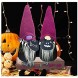 Alipher Halloween Witch Gnome Handmade Halloween Gnome Plush Faceless Doll Autumn Swedish Gnome for Halloween Decorations 2PCS