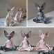Sphynx Cat Meditate Collectible Figurines Zen Yoga Relaxed Pose Buddha Meditation Sphynx Cat Collections Cat Statue for Home Office White