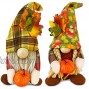 TURNMEON 2 Pack Fall Plush Gnomes Thanksgiving Decorations Mr and Mrs Gnomes Hold Pumpkins Scandinavian Tomte Elf Doll for Autumn Harvest Fall Decorations Home Indoor Table Figurine Ornaments Gifts