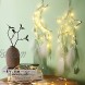 3 Pieces LED Dream Catcher Handmade Chain Dream Catcher Bohemian New Moon Sun Star Design Chic Home Decor for Wall Hanging Home Decoration