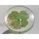 KIN-HEBI Real Four Leaf Clover Good Luck Pocket Token Preserved 1.25” Including Metallic Moon and Star Reliefs