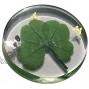 KIN-HEBI Real Four Leaf Clover Good Luck Pocket Token Preserved 1.25” Including Metal Butterfly Objects
