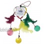 Vie Naturals Heart Shaped Dream Catcher Capiz & Feathers 6cm Rasta Multicoloured