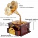 Fding Classical Trumpet Horn Turntable Gramophone Art Disc Music Box & Make up Case &Jewelry Box Home Decor Brown